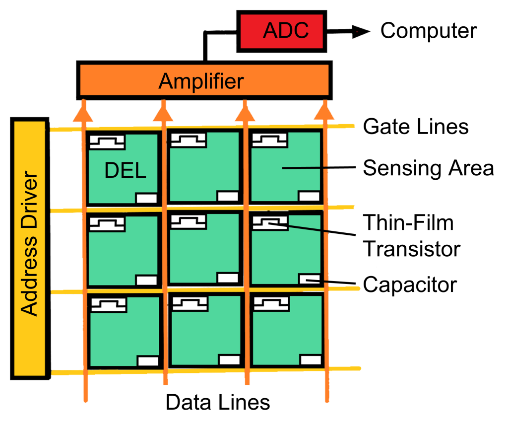 Image Capture and Display – Digital Radiographic Exposure: Principles ...