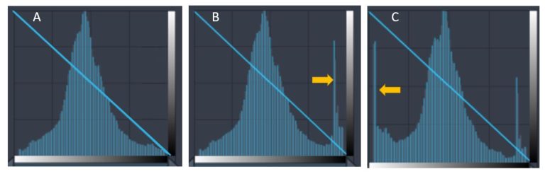 Image Capture and Display – Digital Radiographic Exposure: Principles ...