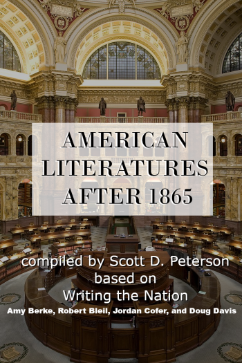 Cover image for American Literatures After 1865